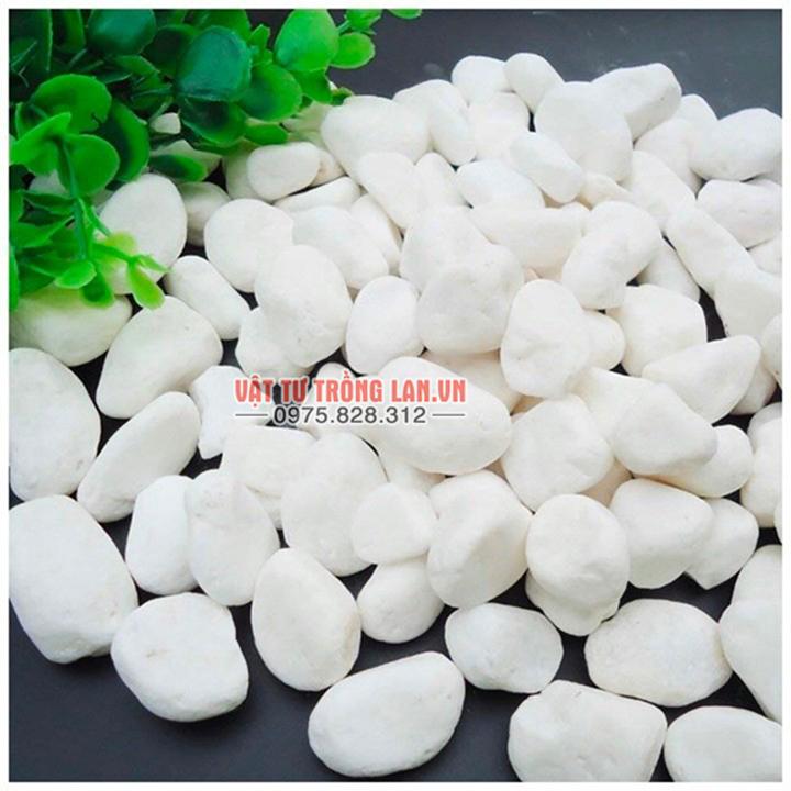 1kg sỏi màu trắng dùng trang trí kích thước 2x3cm