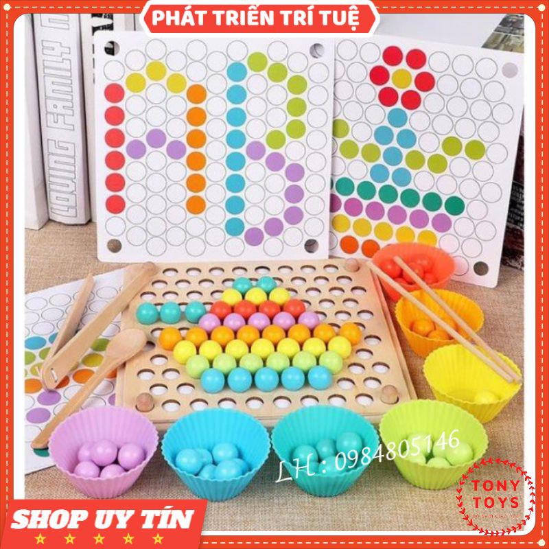 Đồ Chơi Gỗ Gắp Hạt Kèm Bát Kích Thích Sáng Tạo - Đồ Chơi Thông Minh Montessori Phát Triển Trí Tuệ Cho Bé TONY
