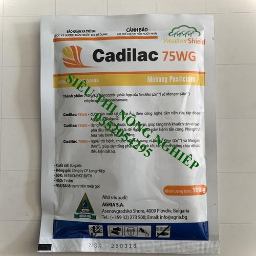Trừ bệnh đốm đen hoa hồng - cadilac 75wg