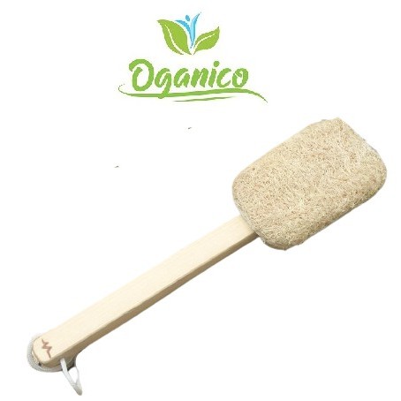 Cây chà lưng / natural loofah back brush for shower / cọ chà lưng xơ mướp tự nhiên