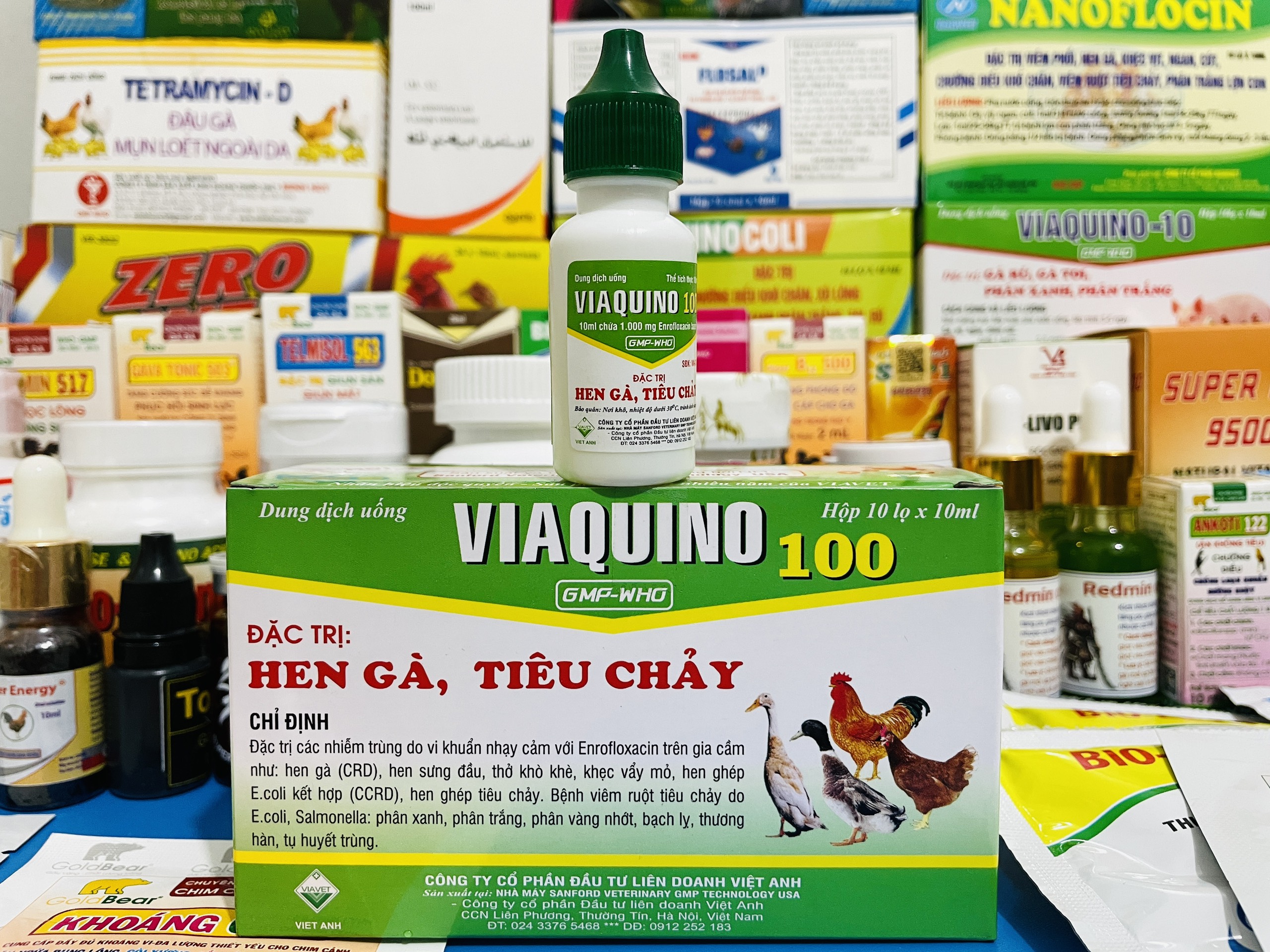 Viaquino 100 - lọ 10ml - hen gà, tiêu chảy trên gia cầm