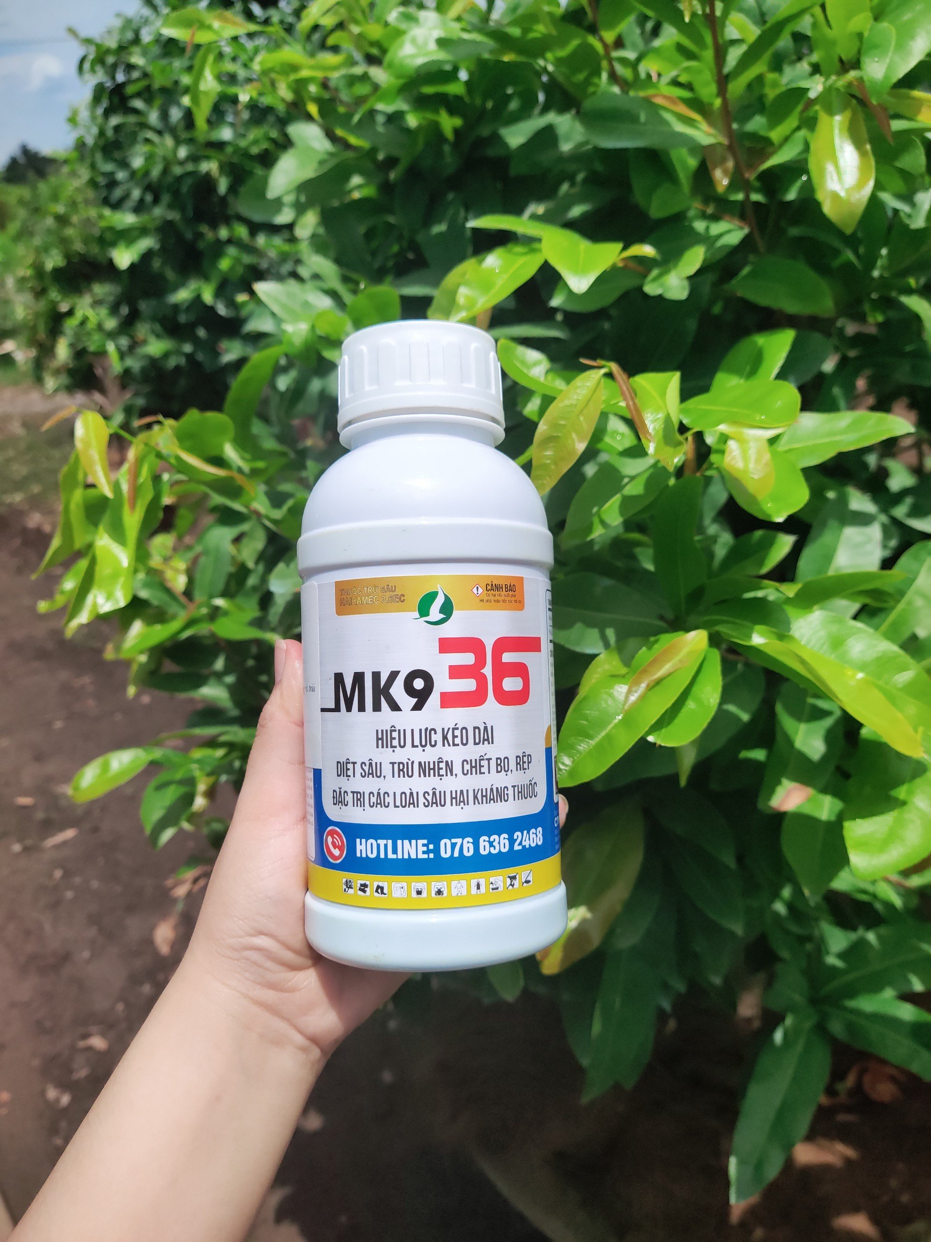 Thuốc trừ sâu mk936 đánh bay sâu vẽ bùa, nhện đỏ, bọ trĩ...
