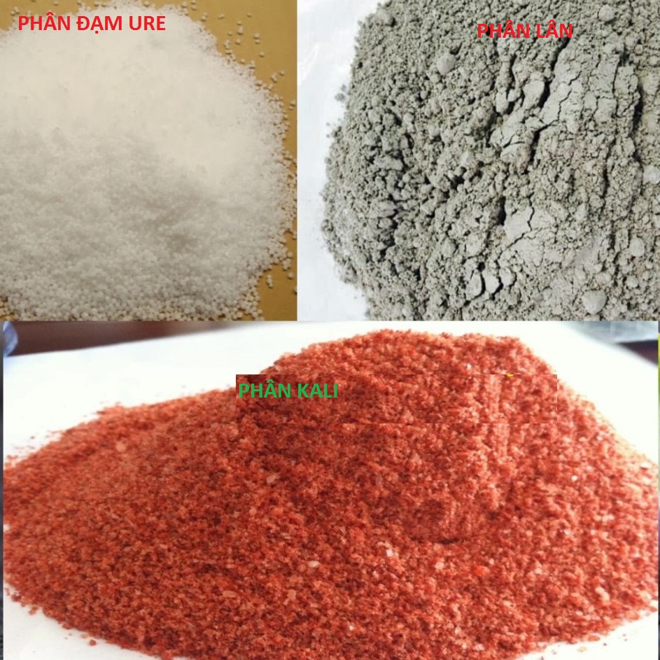 Phân bón đạm u rê, phân lân, phân kali urea ure 500gram