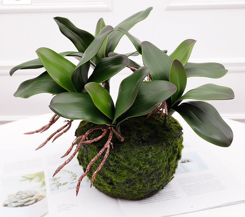 Gốc lá lan hồ điệp silicol dùng cắm kèm hoa an, trang trí chậu lan giả- lan thật
