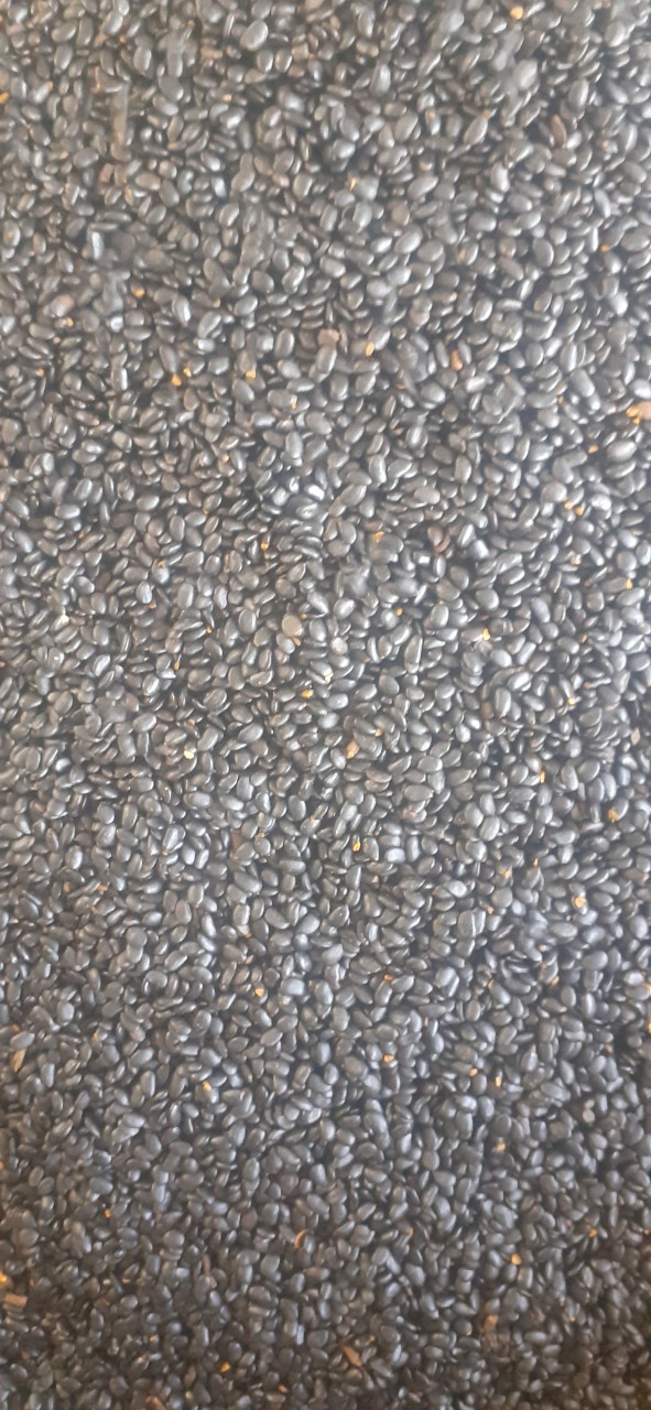 300 gram hạt keo tai tượng giống