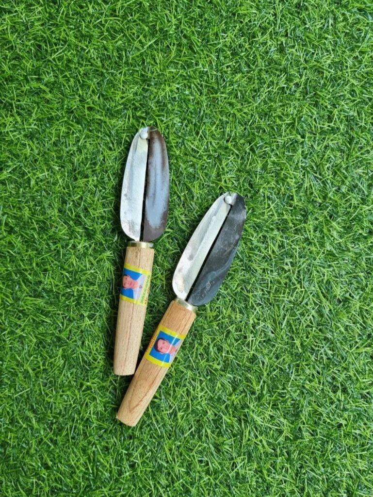 Dao bào rau muống, rau củ quả loại tốt