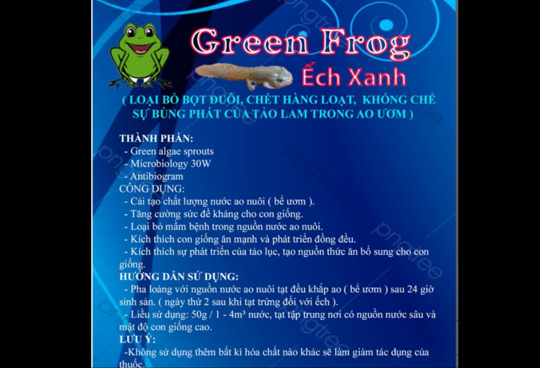 green frog  ếch xanh loại bỏ bọt đuôi, ngăn ngừa con giống chết hàng loạt