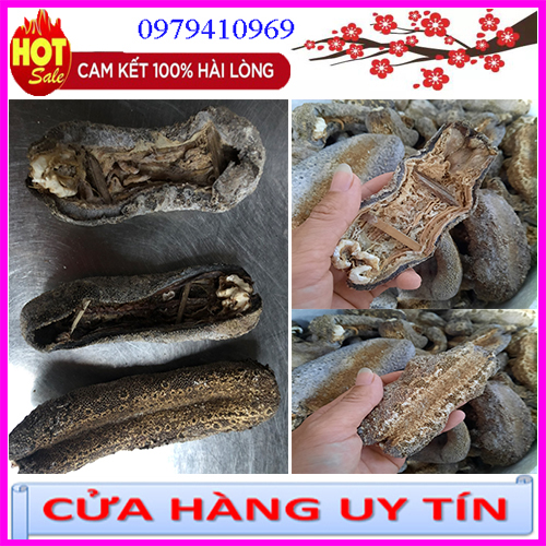 500gr Hải sâm da chăn. Đồn đột da chăn. Ngận da chăn