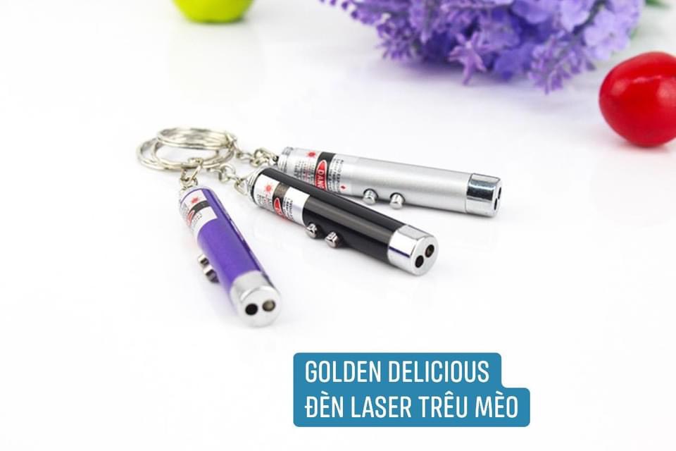 Đèn laser đồ chơi trêu mèo đuổi bắt vui nhộn