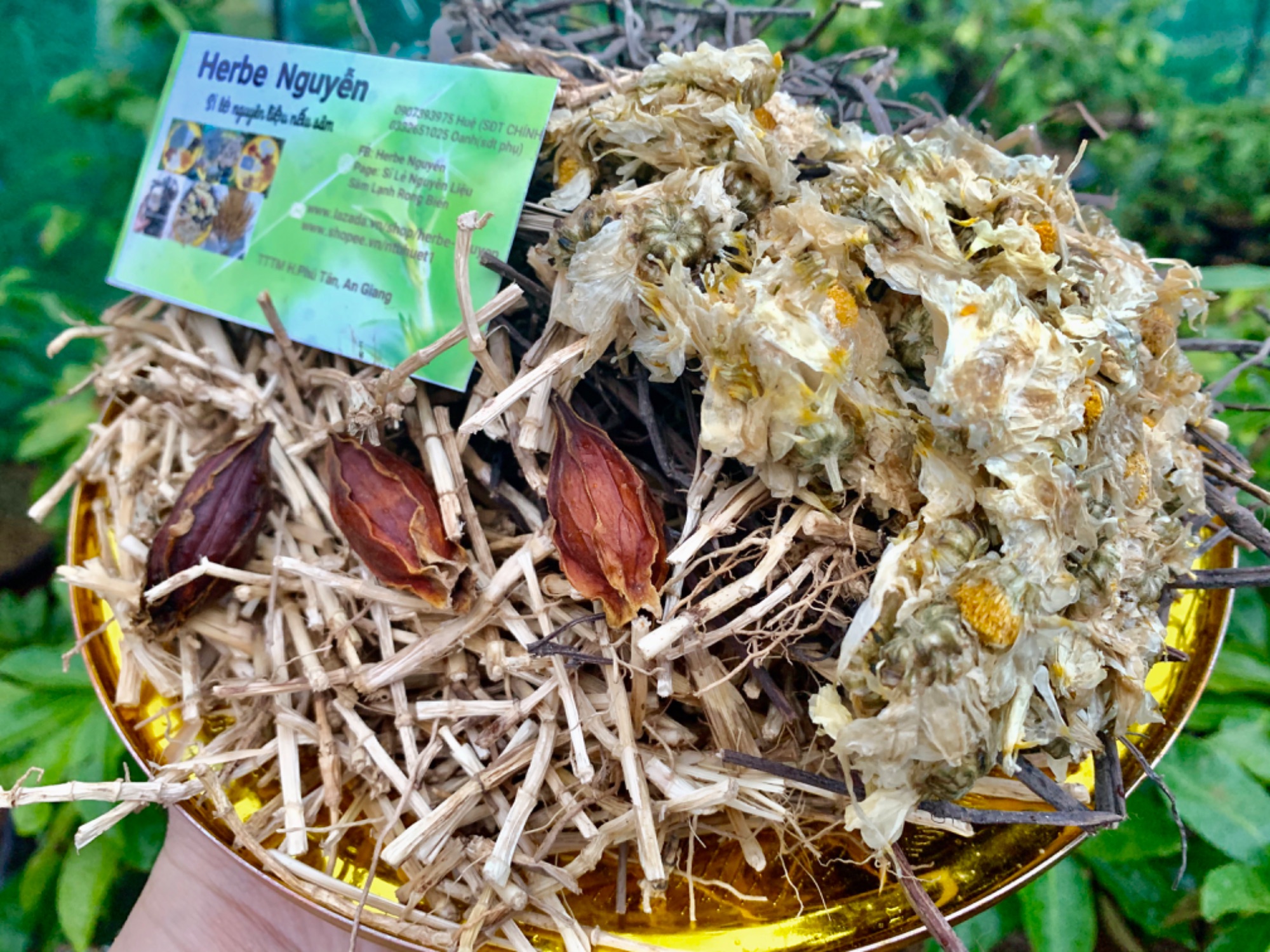 🍀Sâm bông cúc rễ tranh☘️1 phần nấu 10L🍀