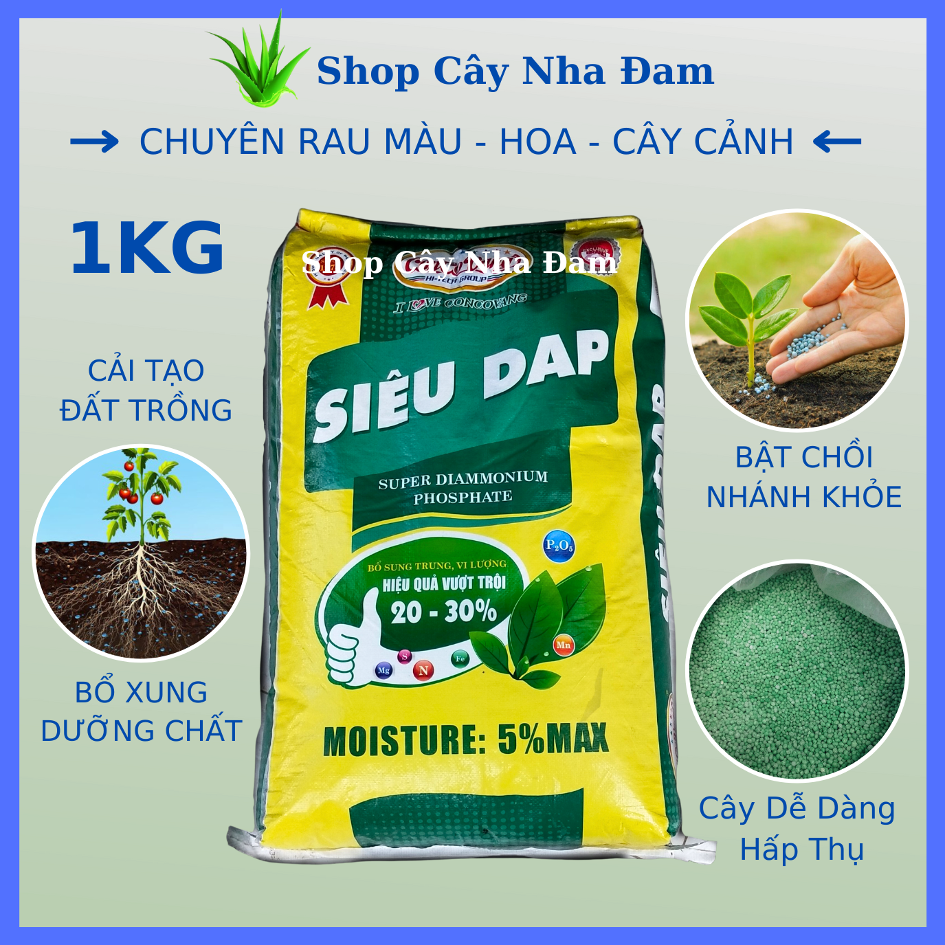 Phân DAP Cao Cấp, Giúp Cây Trồng Phát Triển Vượt Trội (1kg)