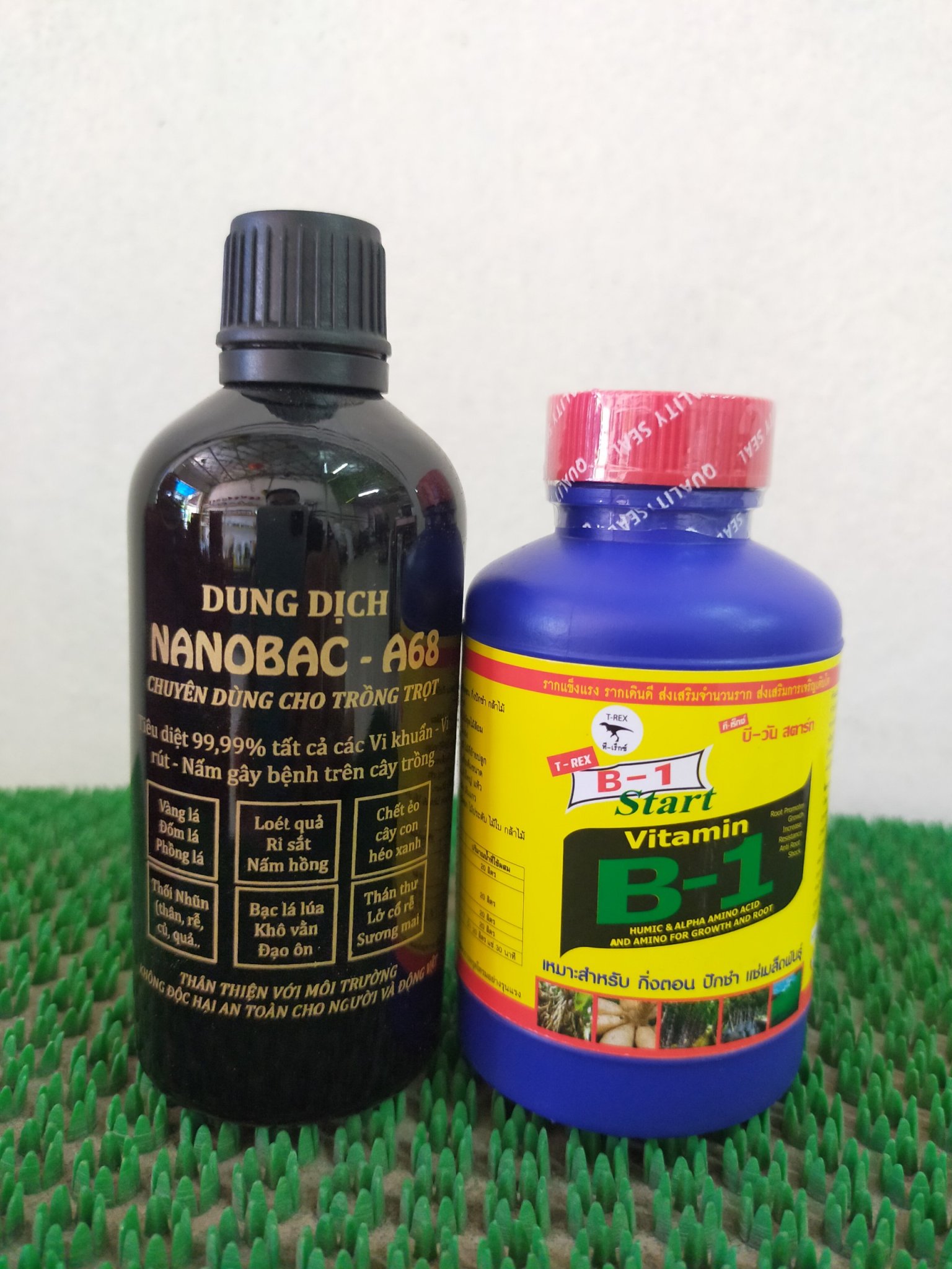 Combo B1 thái kích rễ, chồi lá + Dung dịch NaNo bạc A68 -Sát khuẩn , phòng, trị nấm , thối nhũn ,đốm lá
