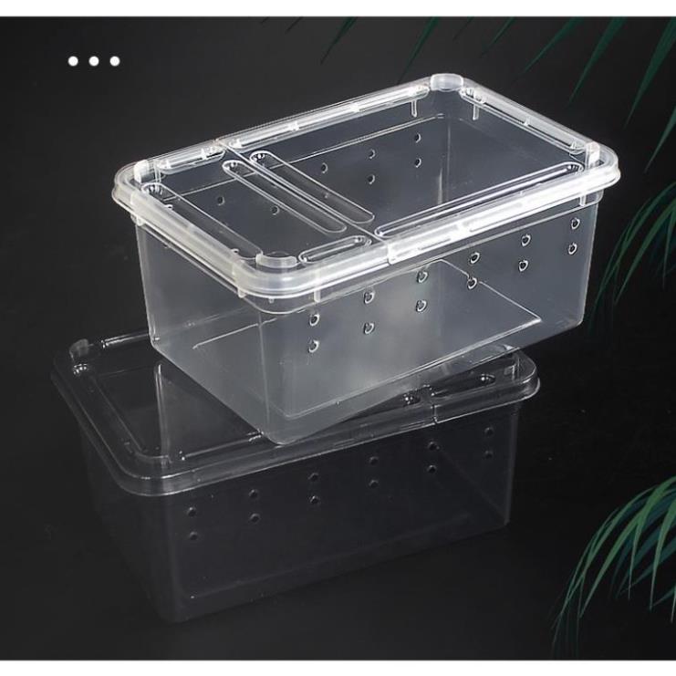 Hộp nuôi bò sát, hộp nuôi côn trùng, hộp nuôi thú cưng petstore