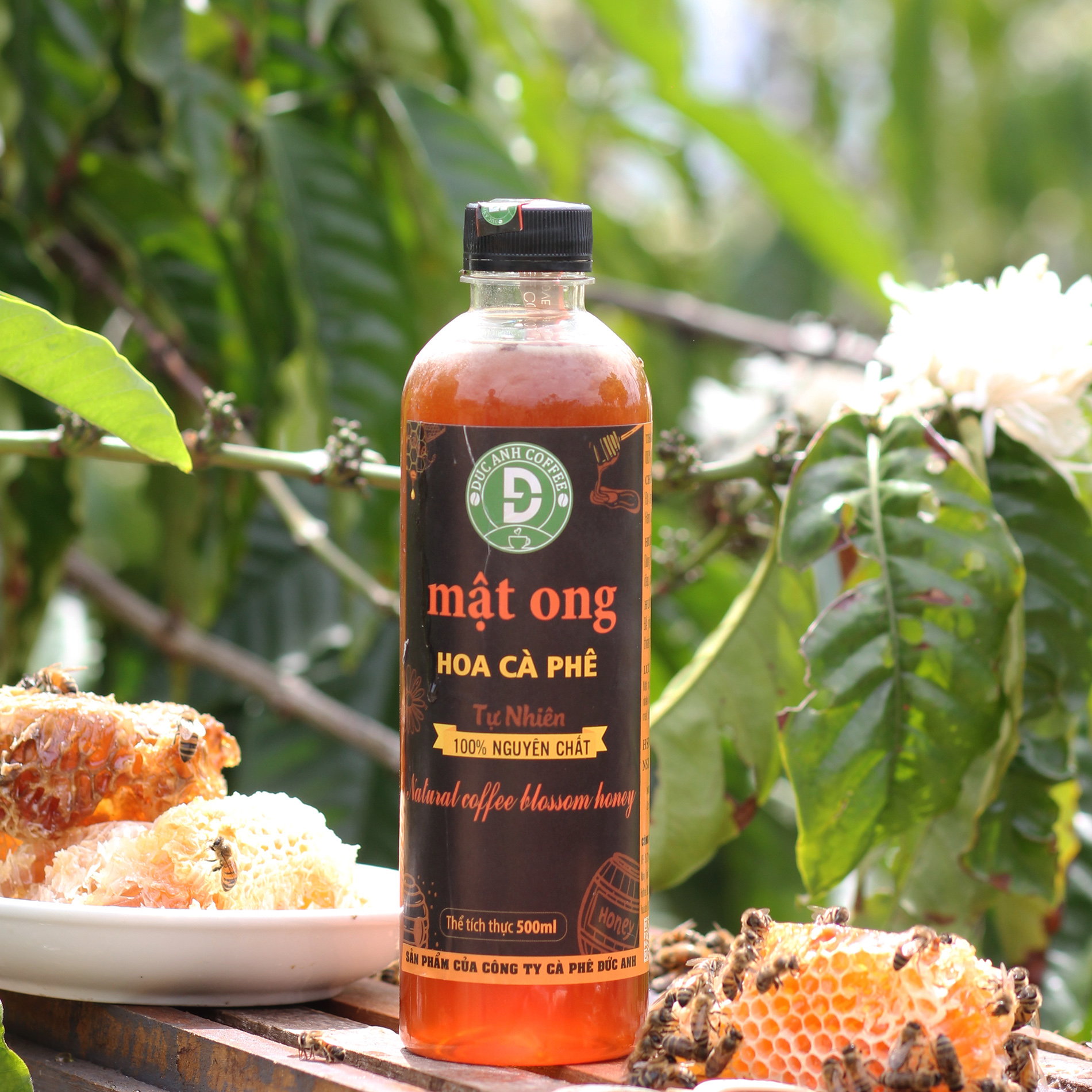[sale trợ giá] Chai 500ml mật ong hoa cafe nguyên chất tương đương 700g mật ong được khai thác tự nhiên, tăng sức đề kháng - thuộc công ty cà phê ĐỨC ANH, đóng gói chai pet cao cấp an toàn lazmall bách hóa - DUC ANH COFFEE - Mat ong Duc Anh