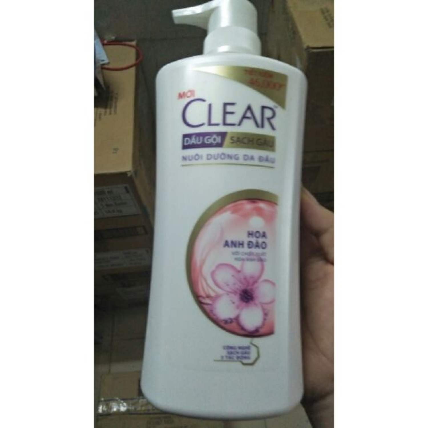 Dầu gội cleAr anh đào