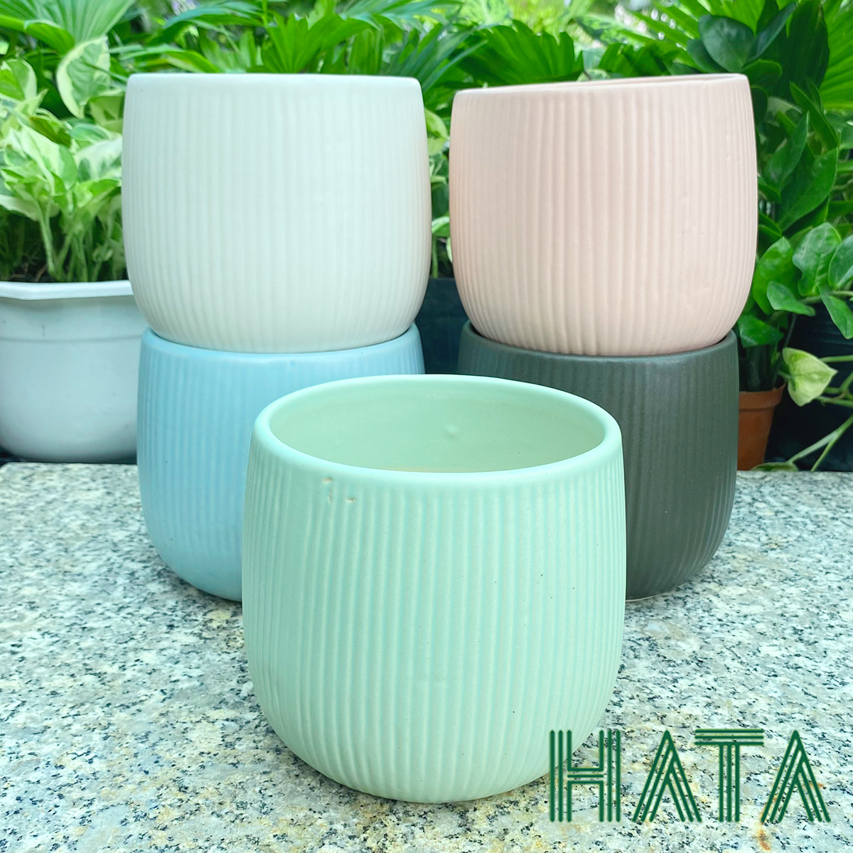 Chậu gốm sứ kẻ tăm nhiều màu. Hatagarden