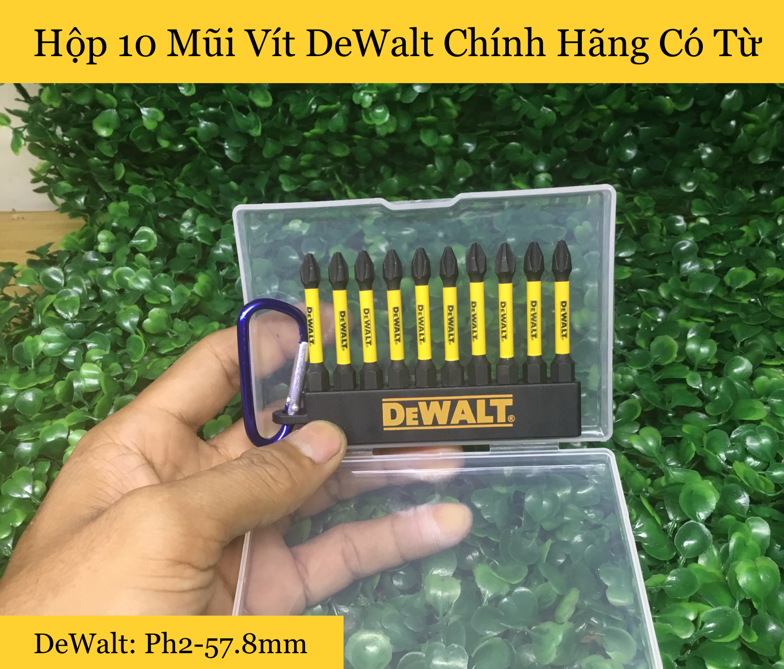 Bộ 10 Mũi Vít DeWalt Chính Hãng Có Từ Ph2-58mm
