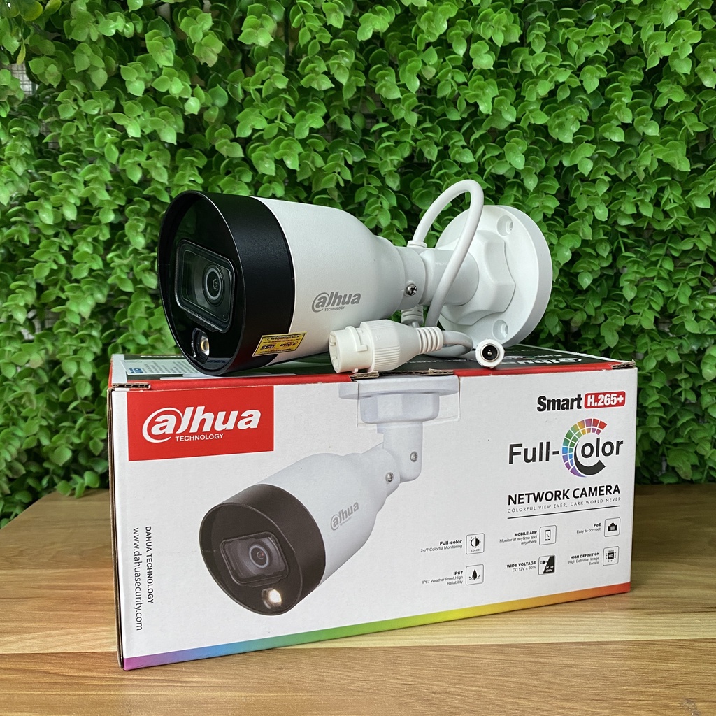 dahua 1239 ip camera