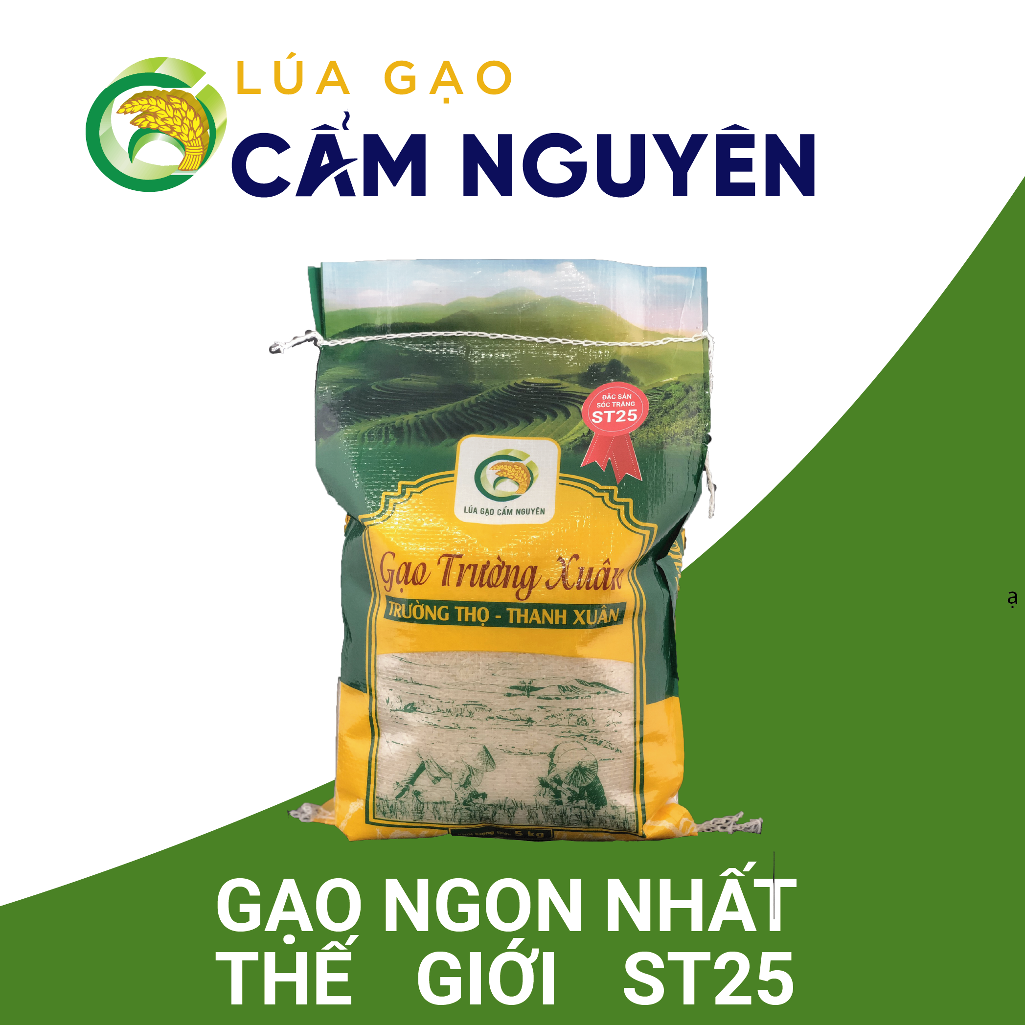 [HCM]Top 3 Gạo Ngon Đặc Sản Sóc Trăng ST25 Trường Xuân Cẩm Nguyên Bao 5kg