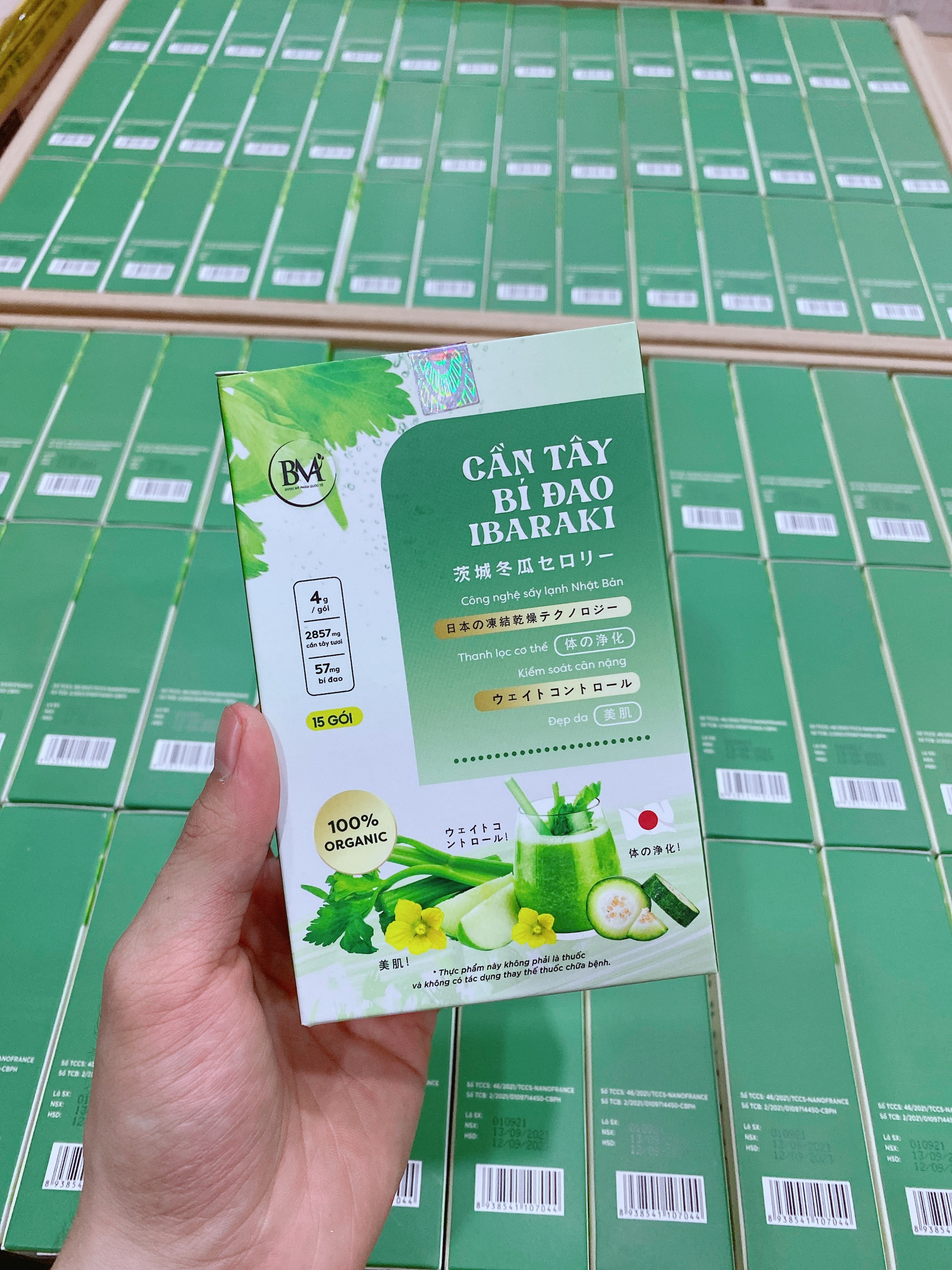 Cần tây bí đao ibaraki