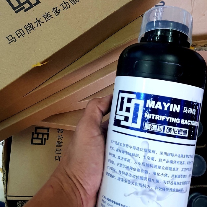Vi sinh mayin chuyên dùng cho bể cá rồng 900ml - vi sinh cao cấp cho cá rồng