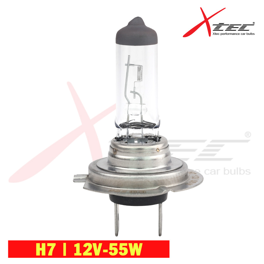 Bóng đèn ô tô xtec h7 - nhập khẩu chính hãng