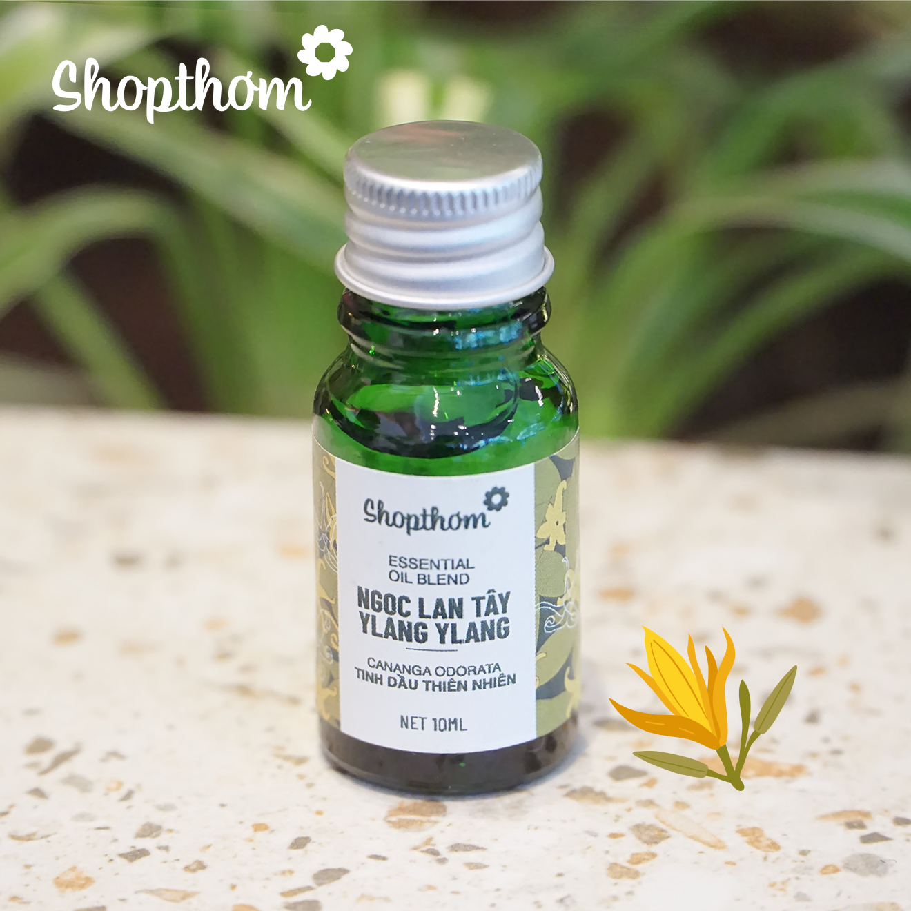 Tinh dầu Ngọc Lan Tây Ylang Ylang Shop Thơm Nguyên Chất Thiên Nhiên, Xông Phòng, Khử Mùi