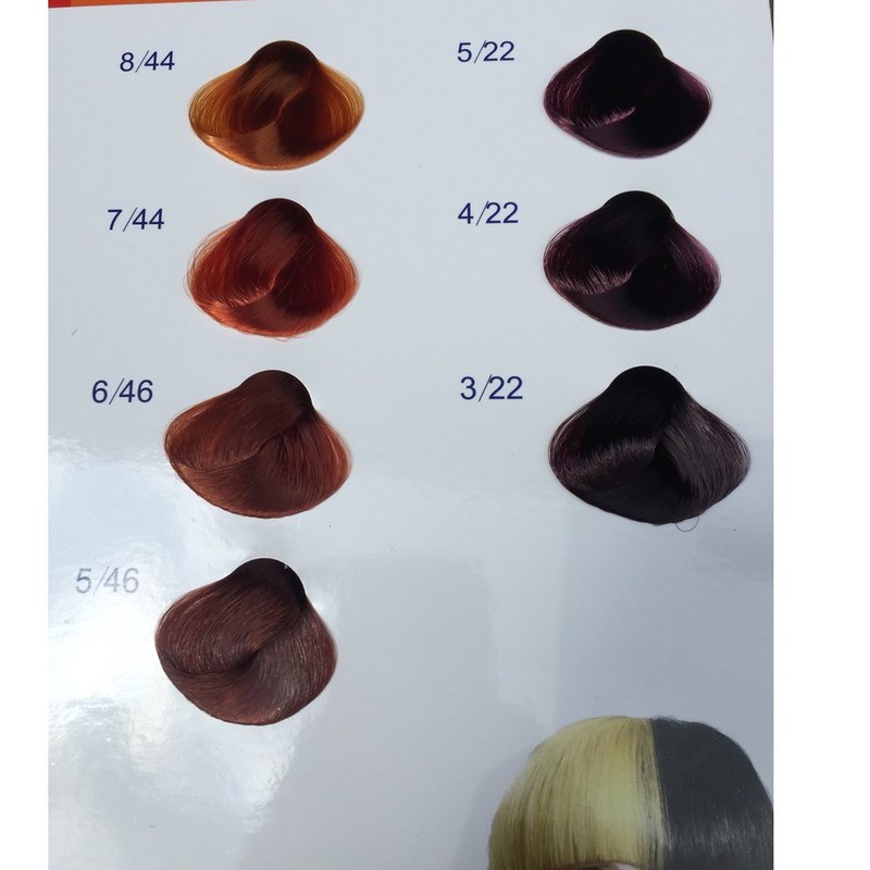 Màu Đồng và Tím là những tông màu đang được yêu thích nhất hiện nay và Everflor sẽ đem đến cho bạn một trải nghiệm tuyệt vời với những sắc màu này. Nhờ công thức độc đáo, sản phẩm nhuộm tóc của Everflor sẽ giúp đổi mới tóc bạn với một lớp màu tự nhiên và bền đẹp suốt thời gian dài.