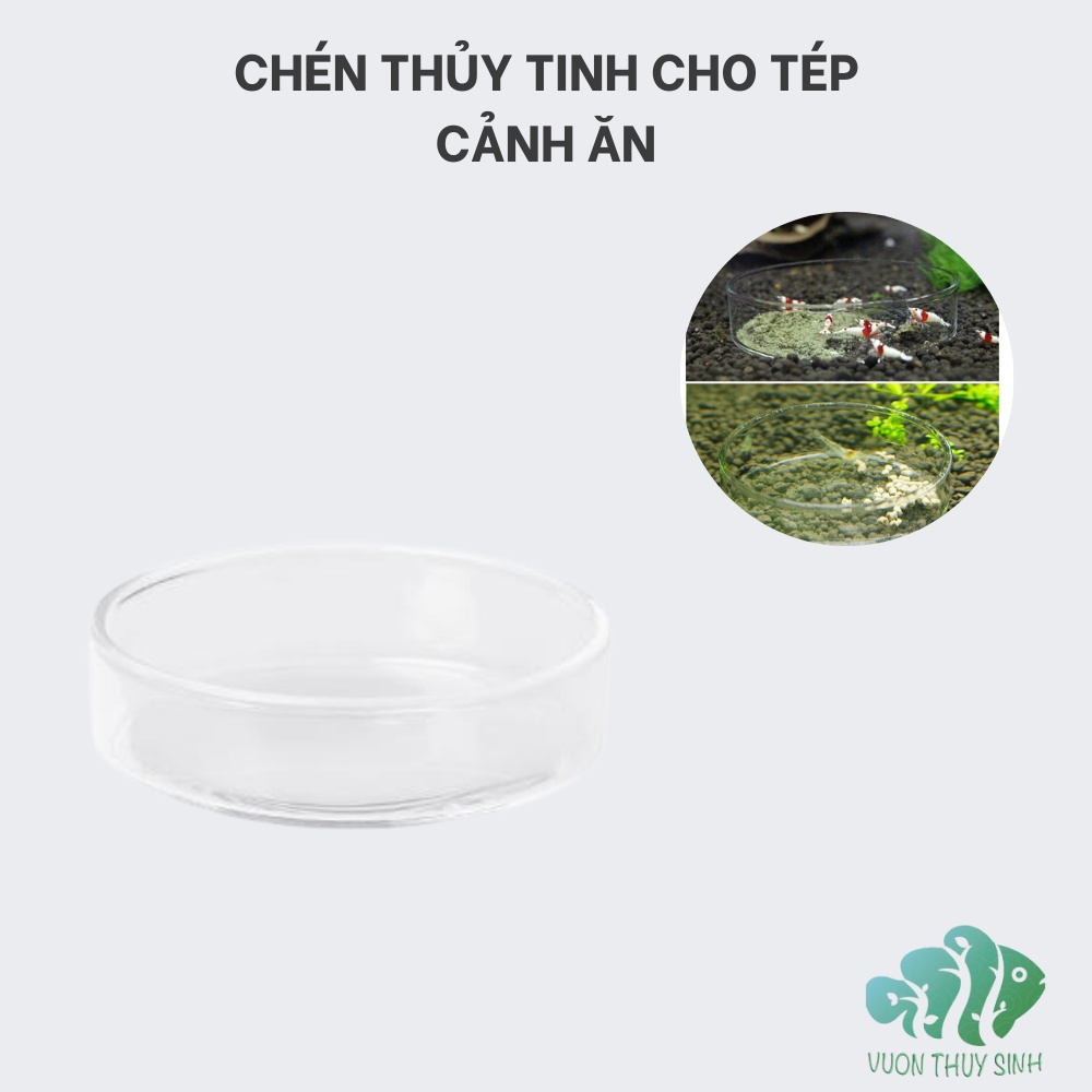 Chén thủy tinh cho tép cảnh ăn, khay đựng thức ăn cho tép ăn nhỏ gọn thẩm mĩ cao