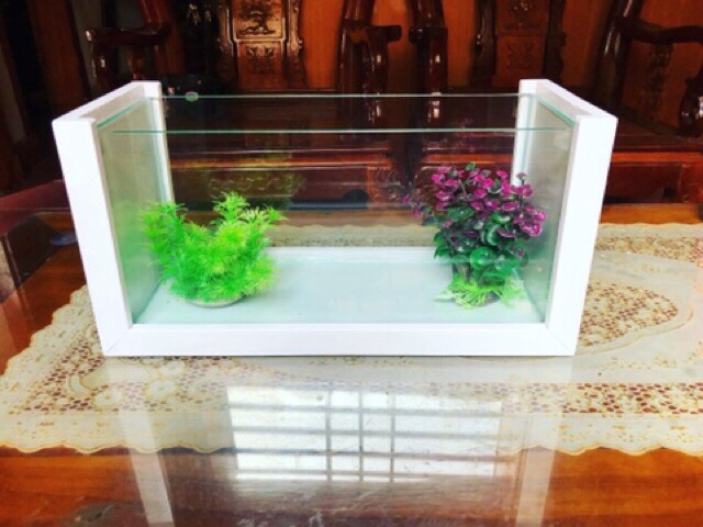 Bể  khung gỗ trắng tinh khôi-Bể cá cảnh -Bể cá mini
