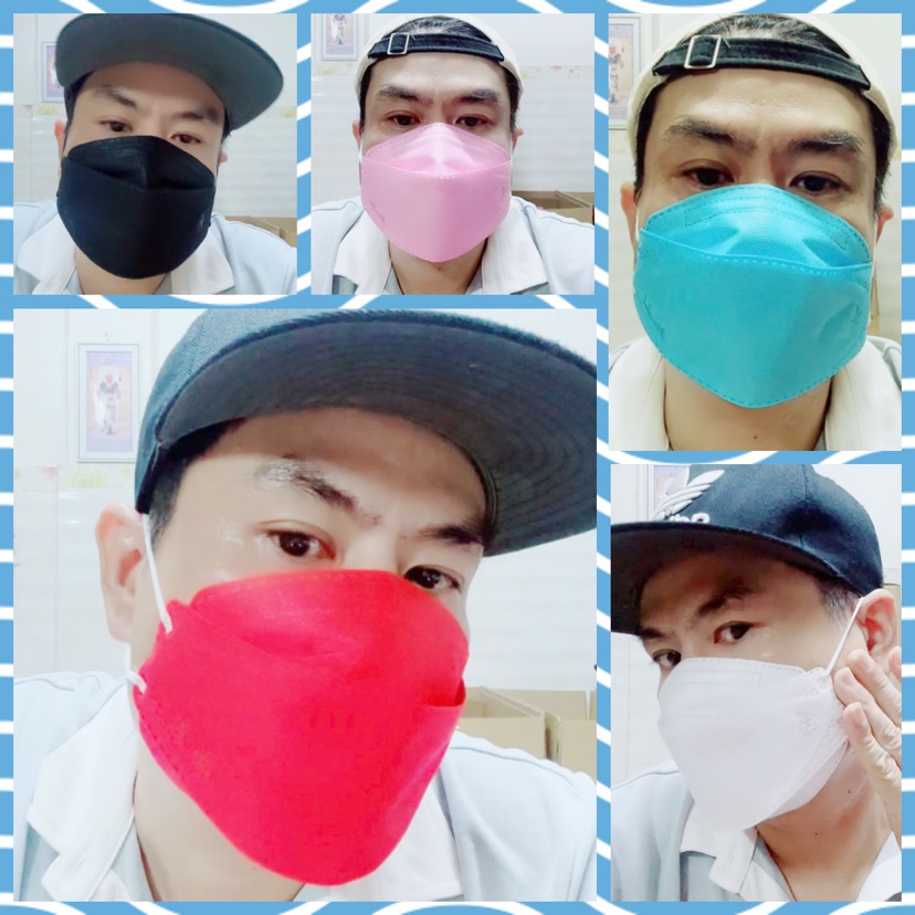 Set 1 thùng 50 túi 300 chiếc khẩu trang y tế 3D Land mask hay kf94 người lớn