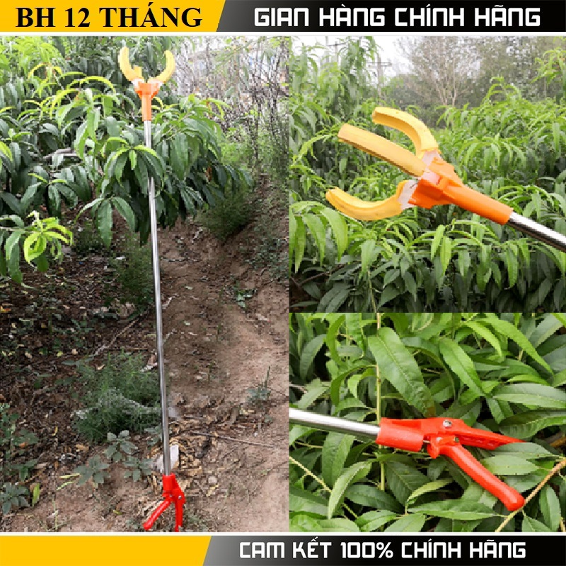 Kéo hái quả trên cao dài 2m - Kéo hái hoa quả trên cao dài 2m không làm rơi quả
