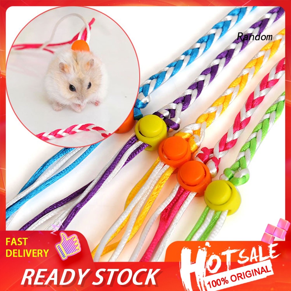 Dây dắt thú cưng đi dạo tiện dụng cho chuột hamster