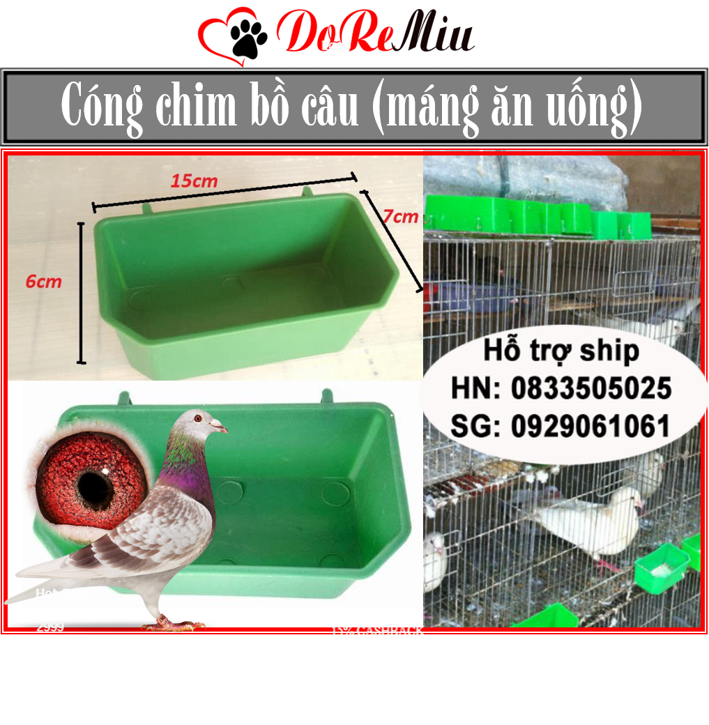 Doremiu (1 cái) Máng ăn chim bồ câu treo chuồng Cóng vuông bằng nhựa màu xanh (có thể dùng cho gà và chim cảnh)