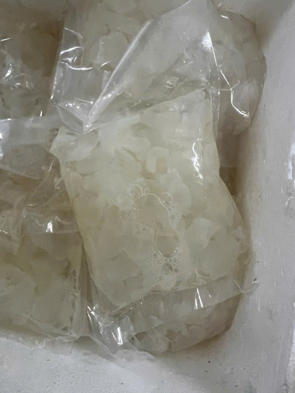 Sứa Thạch còn gọi Sứa Óc - bịch 500gr lun nước 1kg (giao hcm)