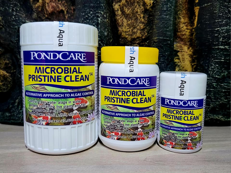 PondCare - Microbial Pristine Clean14 - Vi sinh di dưỡng tùy nghi phân hủy 15,25 cm bã  hữu cơ