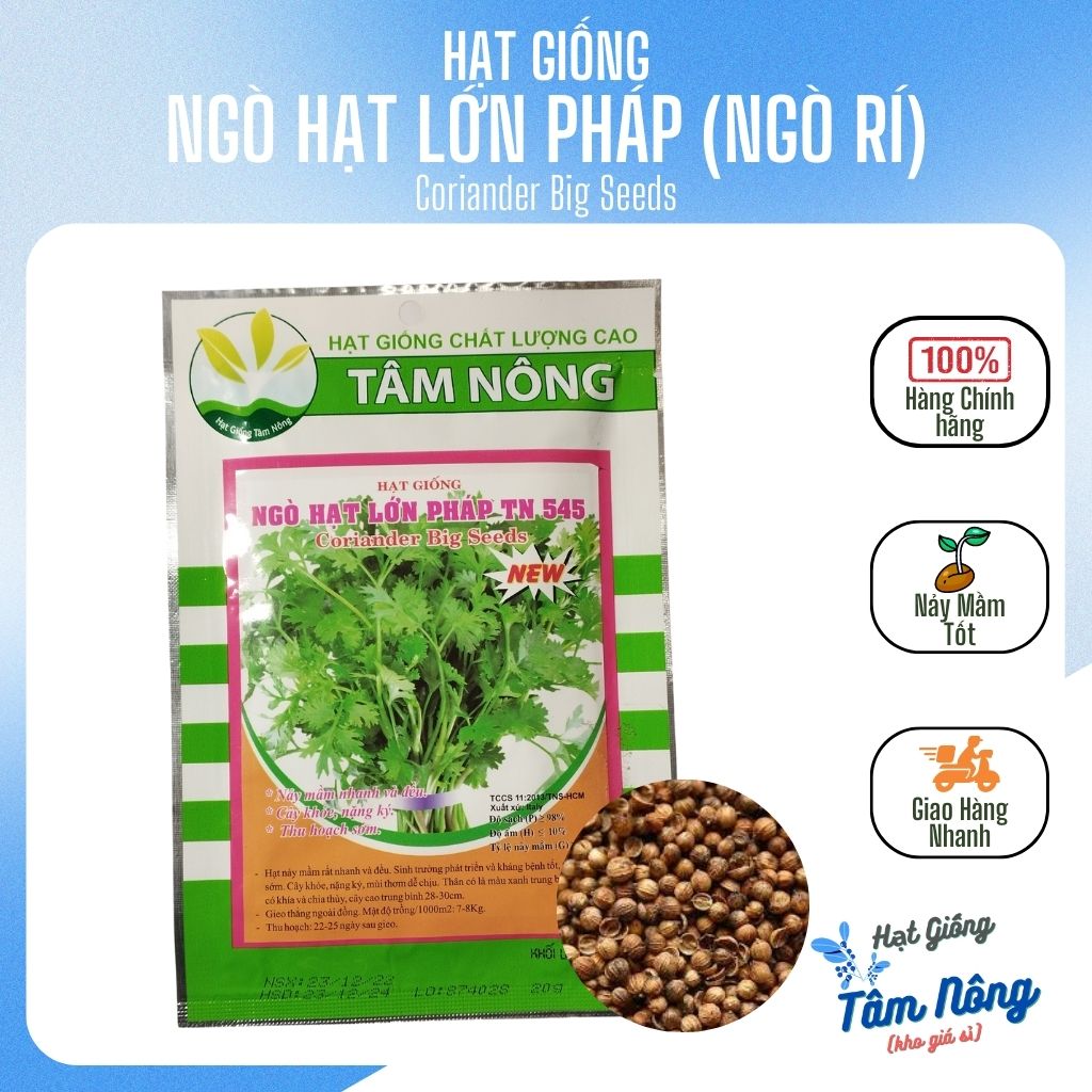 Hạt giống ngò rí ngò hạt lớn Pháp Tâm Nông gói 50gr 20gr. Freeship đơn hàng từ 29k