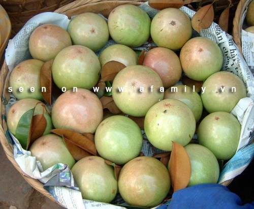 XCeem4NQAIZAUBAUqOHY_simg_d0daf0_800x1200_max.jpg