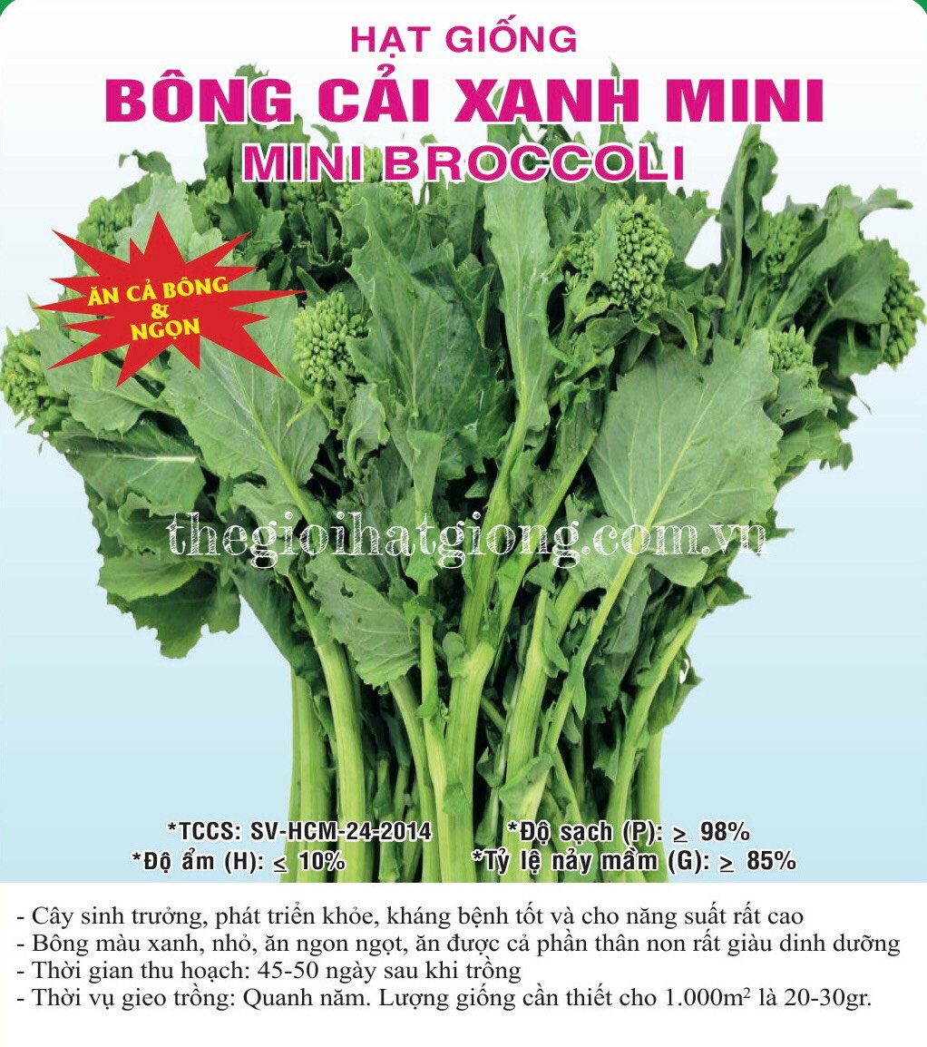 Hạt Giống Bông Cải Xanh Mini - Giống Ăn Được Cả Ngọn Và Bông - Sen Vàng Seeds
