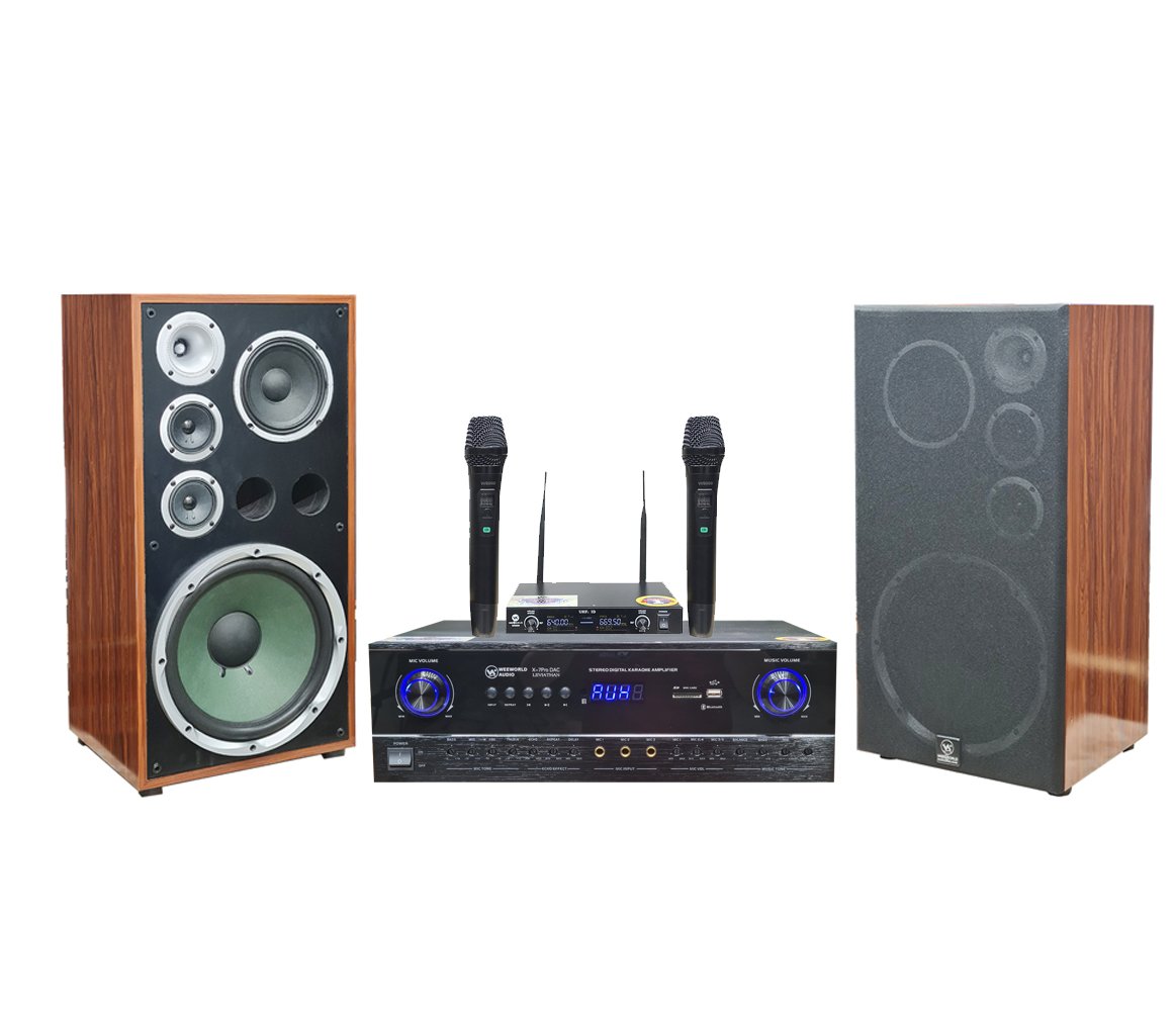 Bộ dàn karaoke gia đình weeworld loa g2000 + sub monster + đẩy x7pro dac leviathan
