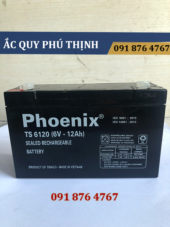 Ắc quy lưu điện Phoenix 6V - 12Ah TS6120