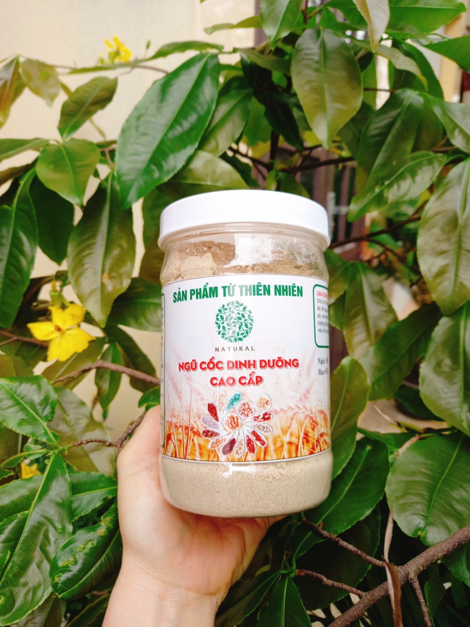 Ngũ cốc dinh dưỡng