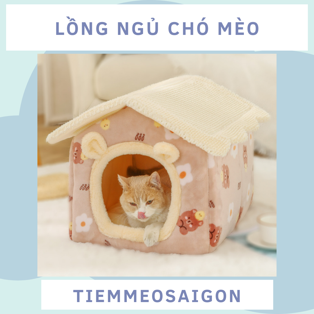 NHà MèO Cute giá rẻ Tháng 8,2024|BigGo Việt Nam
