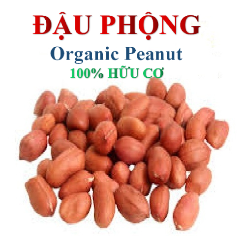 1KG ĐẬU PHỘNG ( Lạc sống)  Đậu hữu cơ An Phương- SHOP ANPHUONG