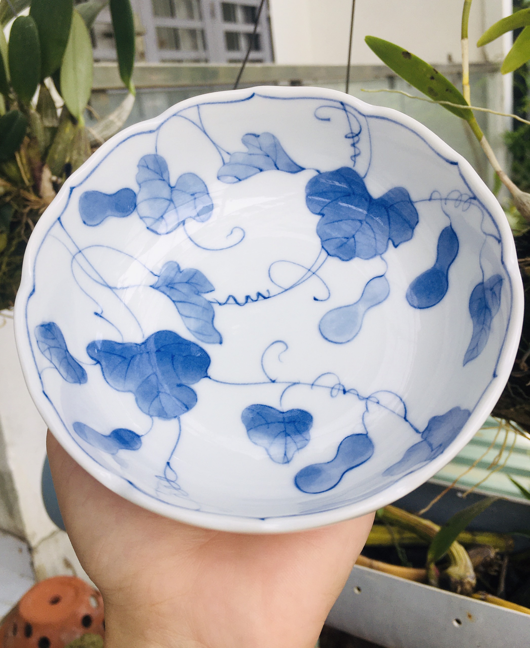 Gốm nhật - tô cạn men lam vẽ dây bầu