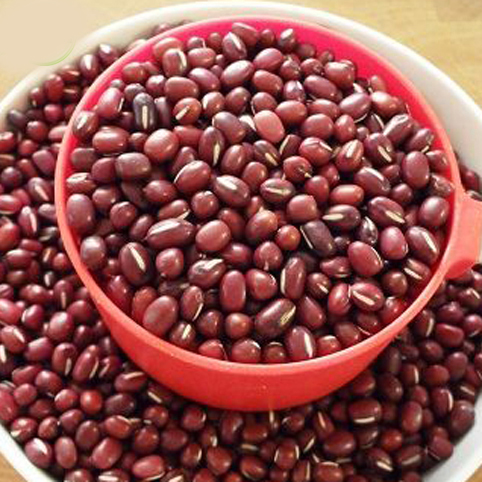 Xích tiểu đậu 500gr