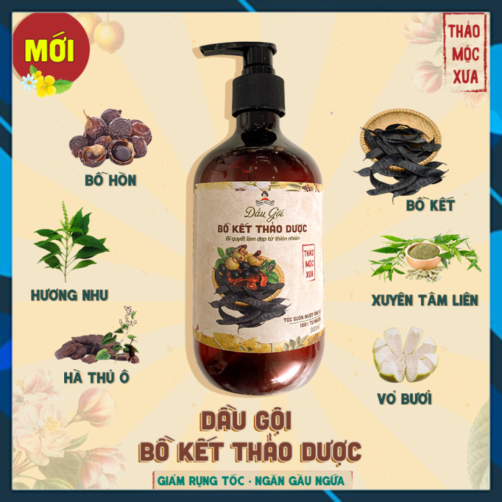 [Thảo Mộc Xưa] Dầu Gội Bồ Kết Thảo Dược Cô Đặc 500gr - Ngăn Gàu , Rụng Tóc