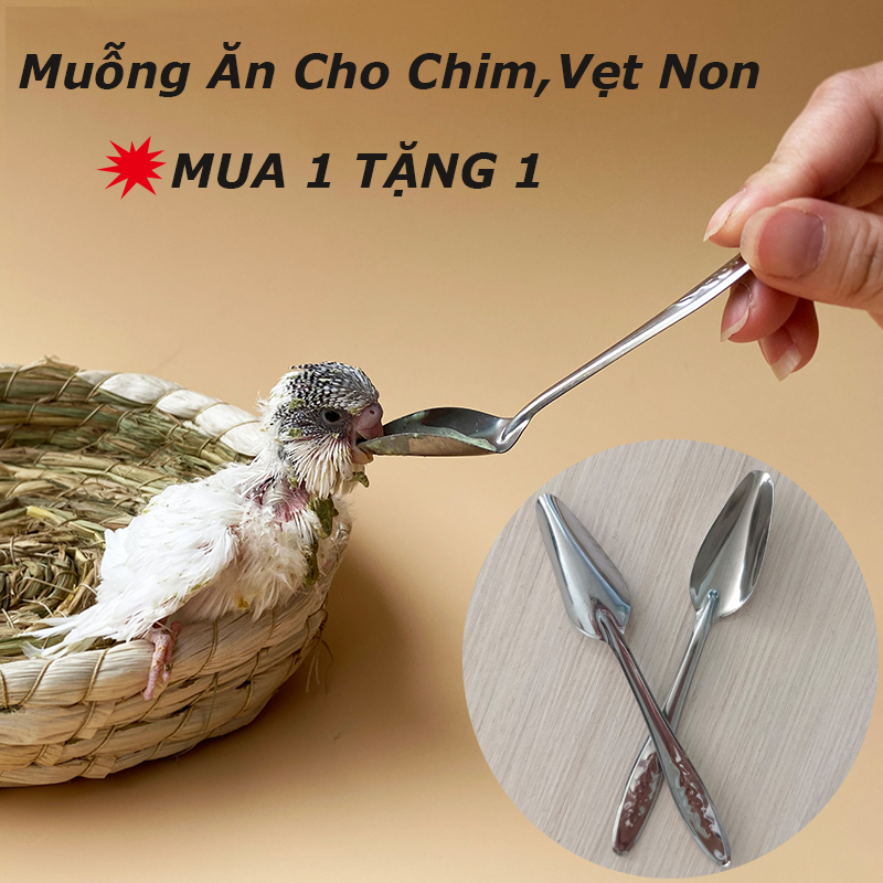 Muỗng đút bột cho chim,vẹt non Muỗng ăn bằng thép không gỉ