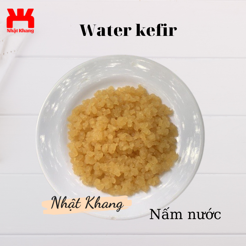 Water kefir nấm nước TO KHOẺ tạo thức uống có gas, trọn bộ nuôi nấm