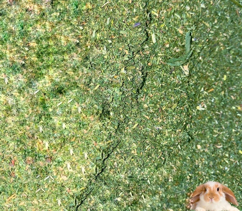 Bột cỏ Alfalfa làm bánh cỏ, thức ăn cho thỏ, bọ, hamster
